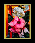 pretty flowers against a wood wall thumbnail